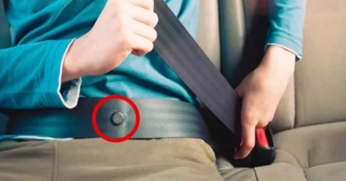 Nút bí mật trên dây an toàn xe ô tô có tác dụng gì? C:ứ:u ng:uy cho bạn khi cần nhưng lâu nay rất ít người biết