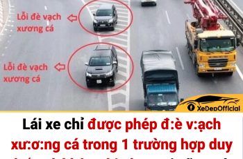 Lái xe chỉ được phép đ:è v:ạch xư:ơ:ng cá trong 1 trường hợp duy nhất mà không bị ph:ạ:t, ai cũng nên nắm rõ để không m:ất ti:ền o:a:n