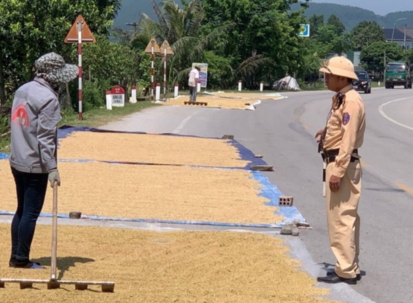 Ôtô phải đi thế nào khi nông dân chiếm đường phơi lúa? Đi ngược chiều trường hợp này có bị phạt không?