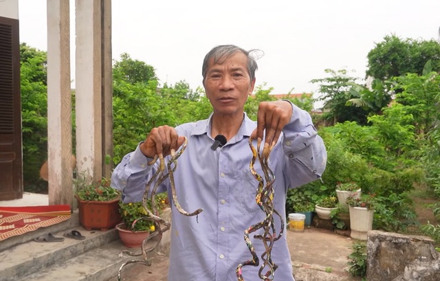 Dị nhân Nam Định móng tay dài 1m vì 33 năm không c.ắt, giờ muốn bán với giá ‘nghe muốn sảng’
