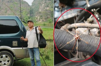 ‘Cần thủ’ bày cách đuổi chuột khỏi khoang máy ô tô có một kh.ông hai