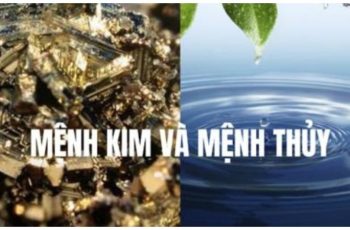 Nhất trai mệnh Th.ủy, nhì g.ái mệnh Kim? Họ là người như thế nào?