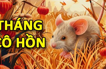 4 con giáp nữ nóng tính nhưng lại có mệnh quý nhân, thành công cả đường h.ôn nhân lẫn sự n.ghiệp