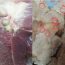 2 bộ ph:;ận của l:;ợn chứa rất nhiều tế bào UT: Chớ dại mà ăn
