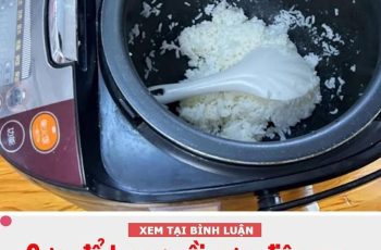 Cơm để trong nồi cơm điện qua đêm có ăn được không: Nhiều người giật mình khi biết đáp án