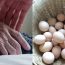 Di chúc của cha: 200 triệu cho con trai cả, căn nhà cho con trai thứ và 1 rổ trứng cho con gái duy nhất