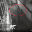 Kinh hoàng: Camera ghi lại hình ảnh con quấn thithe mẹ vào chăn rồi bỏ ra đường ở TP.HCM