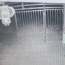 Camera nhà dân ghi lại khoảnh khắc người đi xe máy lao xuống ‘hố tử thần’ sâu 10m
