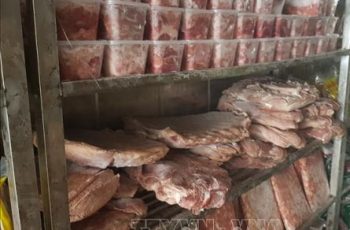 Phát hiện hơn 1.400kg thực phẩm không rõ nguồn gốc tại Bình Dương