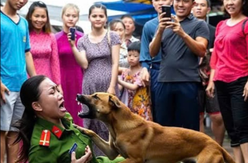 Chó điên tấn công nữ công an giữa phố – Camera vạch trần một sự thật khiến ai cũng sốc Chó điên tấn công nữ công an giữa phố – Camera vạch trần một sự thật khiến ai cũng sốc