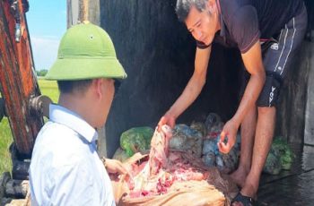 Chở hơn 1 tạ nội tạng trâu, bò bốc mùi đi bán cho các quán ăn Chở hơn 1 tạ nội tạng trâu, bò bốc mùi đi bán cho các quán ăn
