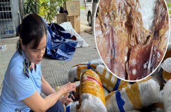 Rùng mình phát hiện 700kg mực khô hư hỏng, bốc mùi chất đống trên vỉa hè Đà Nẵng Rùng mình phát hiện 700kg mực khô hư hỏng, bốc mùi chất đống trên vỉa hè Đà Nẵng