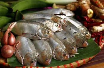 Thấy 7 loại cá này ở chợ phải mua ngay: Dinh dưỡng ngang nhân sâm, rẻ hơn tổ yến, lại không hóa chất