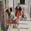 Vụ người phụ nữ bị đấm, đạp ở sảnh chung cư Hà Nội: Nạn nhân chưa được xin lỗi