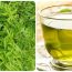 Uống nước lá đinh lăng cực tốt với 3 người này, đừng bỏ phí!