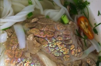 Vì sao có những miếng thịt bò lại ánh lên màu 7 sắc cầu vồng? Vì sao có những miếng thịt bò lại ánh lên màu 7 sắc cầu vồng?