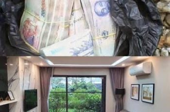 70 tuổi, tôi cầm 350 triệu đồng vừa bán đất, đi ô tô 5 tiếng lên cho con gái, bước vào nhà con thấy cảnh này tôi quyết định cầm tiền về luôn