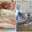 2 bộ phận của lợn chứa rất nhiều tế bào UT: Đừng ăn kẻo ngấm bệnh lúc nào không biết