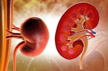 7 dấu hiệu vào buổi tối cảnh báo suy thận, đừng chủ quan kẻo chạy thận cả đời 7 dấu hiệu vào buổi tối cảnh báo suy thận, đừng chủ quan kẻo chạy thận cả đời